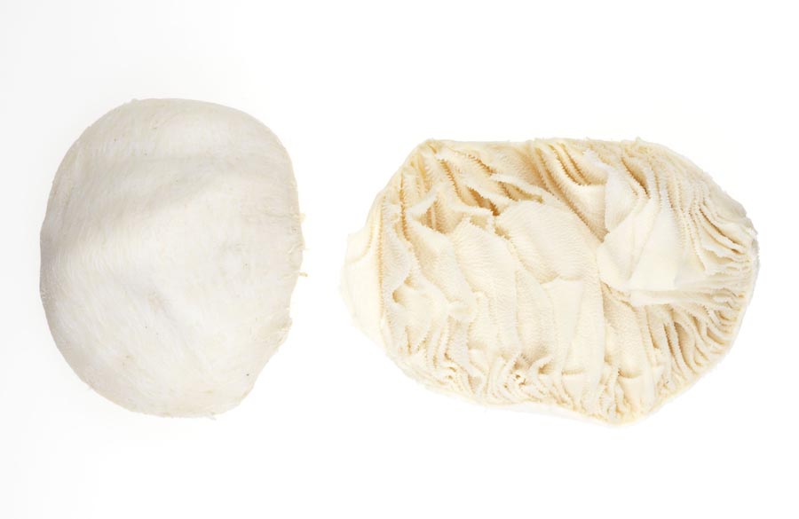 Uruguayan Omasum (Honeycomb) - Frigorifico Sirsil SA